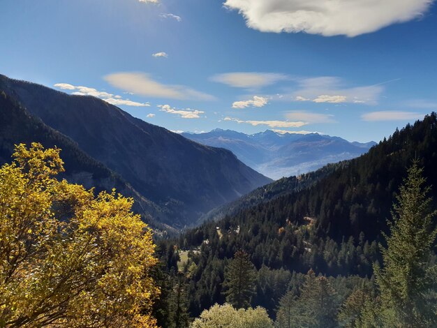 Vista panorámica de árboles y montañas contra el cielo