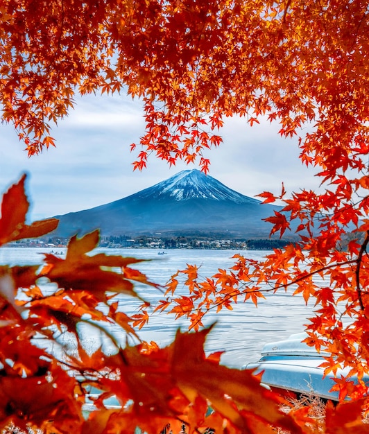 Vista panorámica de los árboles de otoño contra el cielo