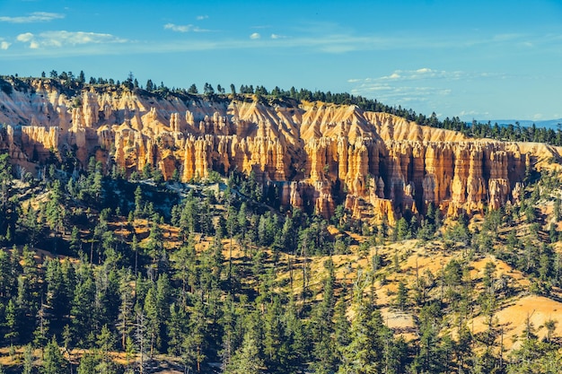 Vista panorámica de los árboles en el paisaje contra el cielo