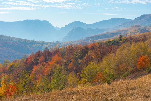 Vista panorámica de los árboles que crecen en las montañas contra el cielo durante el otoño