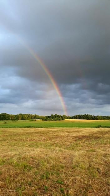 Foto vista panorámica del arco iris en el cielo desde un campo de hierba