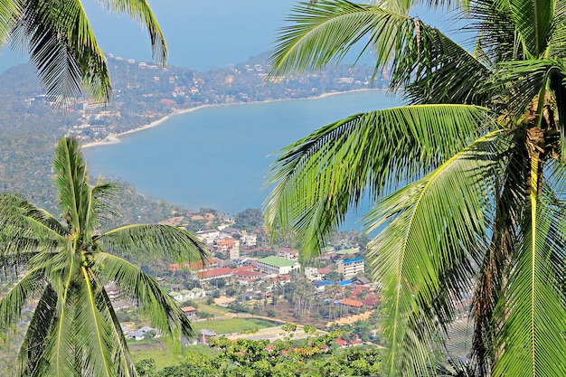 Vista panorámica de la bahía y la ciudad.