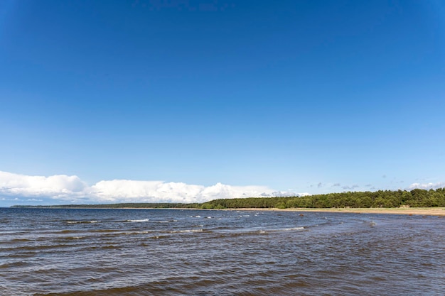 Vista panorámica de la bahía del mar y el bosque de pinos y el cielo azul