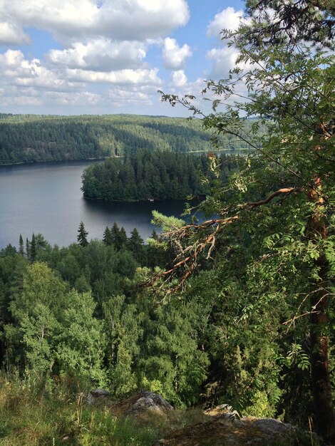 Foto vista panorámica del bosque por el lago contra el cielo