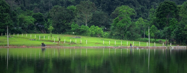 Vista panorámica del bosque y el lago.