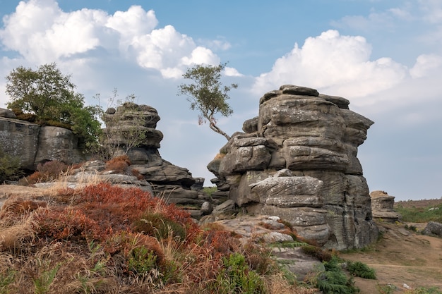 Vista panorámica de Brimham Rocks en Yorkshire Dales National Park