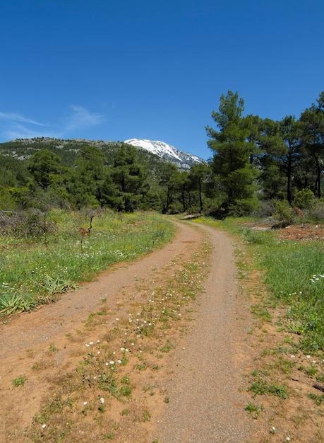 Vista panorámica de un camino rural en Grecia