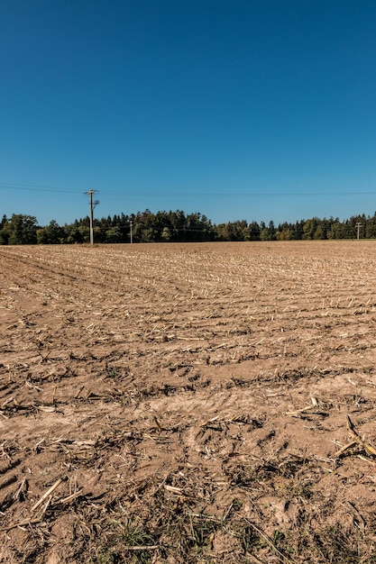 Foto vista panorámica de un campo agrícola contra un cielo azul claro