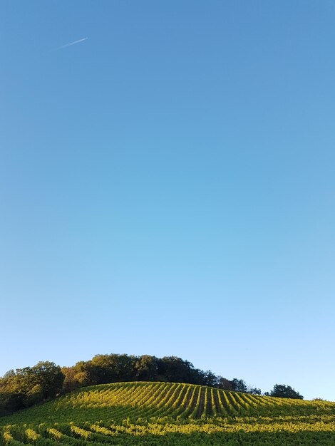 Foto vista panorámica de un campo agrícola contra un cielo azul despejado