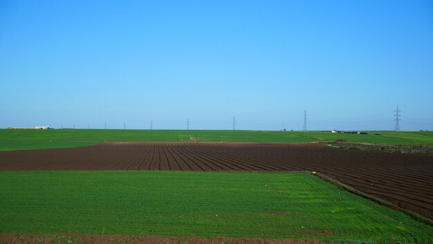 Foto vista panorámica de un campo agrícola contra el cielo azul