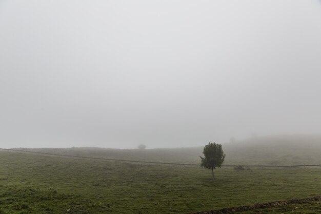 Foto vista panorámica de un campo agrícola contra un cielo despejado