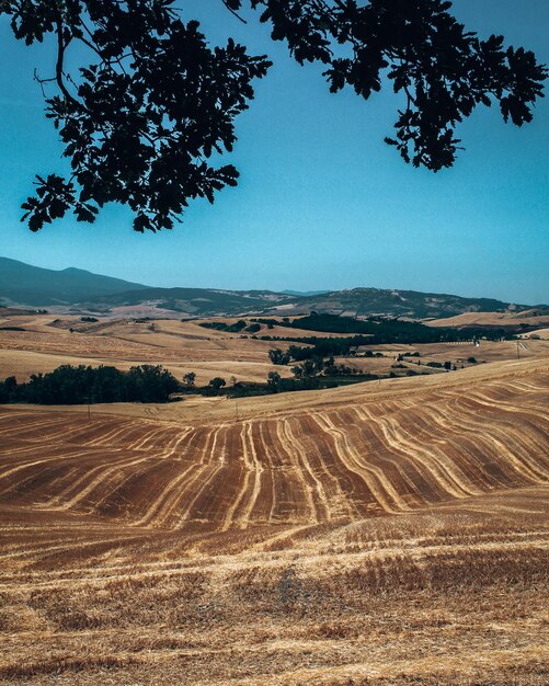 Foto vista panorámica de un campo agrícola contra el cielo dorada de la toscana