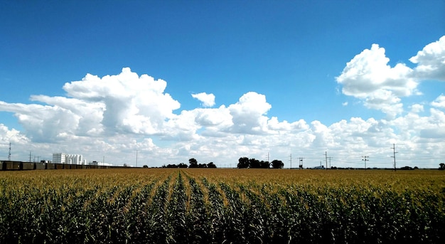 Foto vista panorámica de un campo agrícola contra un cielo nublado