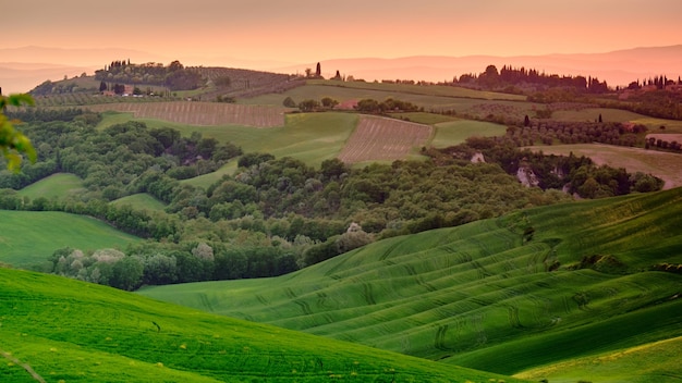 Foto vista panorámica de un campo agrícola contra el cielo durante la puesta de sol