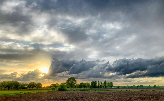 Vista panorámica de un campo agrícola contra el cielo durante la puesta de sol