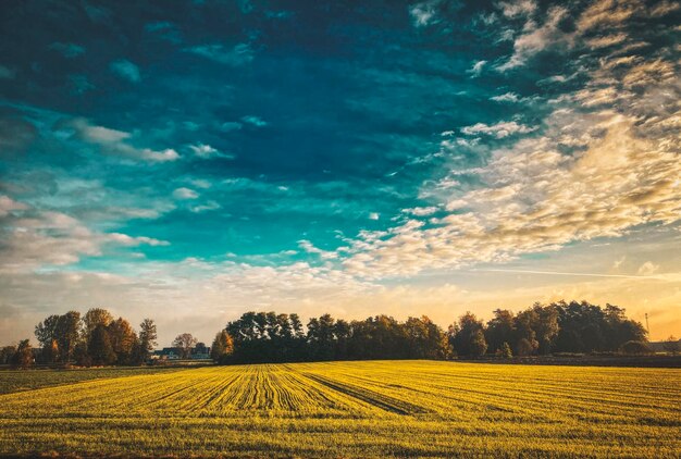 Foto vista panorámica de un campo agrícola contra el cielo