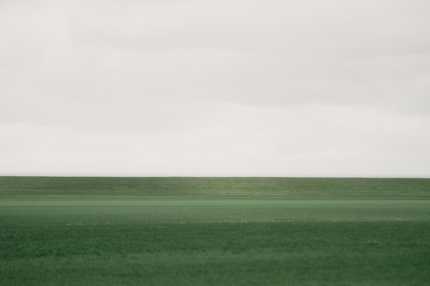 Vista panorámica de un campo agrícola contra el cielo