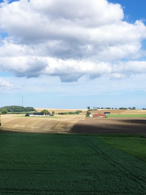 Foto vista panorámica de un campo agrícola contra el cielo