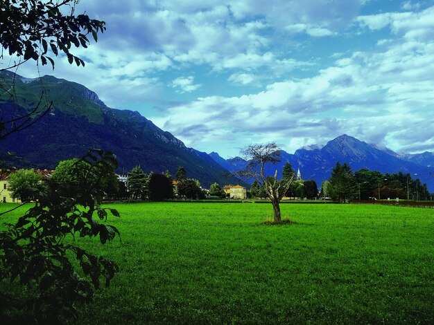 Vista panorámica de un campo agrícola contra el cielo