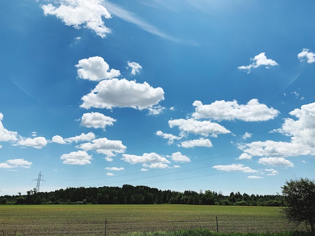 Foto vista panorámica de un campo agrícola contra el cielo