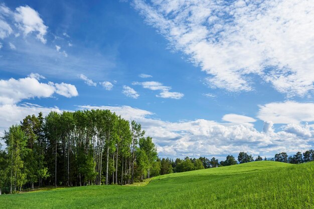 Foto vista panorámica de un campo agrícola contra el cielo