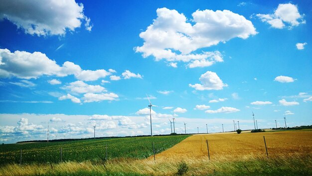 Foto vista panorámica de un campo agrícola contra el cielo