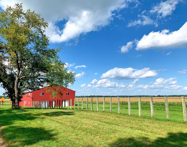 Foto vista panorámica de un campo agrícola contra el cielo