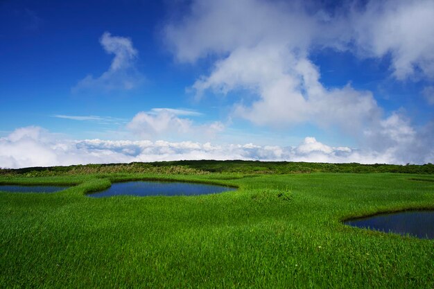 Vista panorámica de un campo agrícola contra el cielo