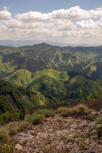 Foto vista panorámica de un campo agrícola contra el cielo