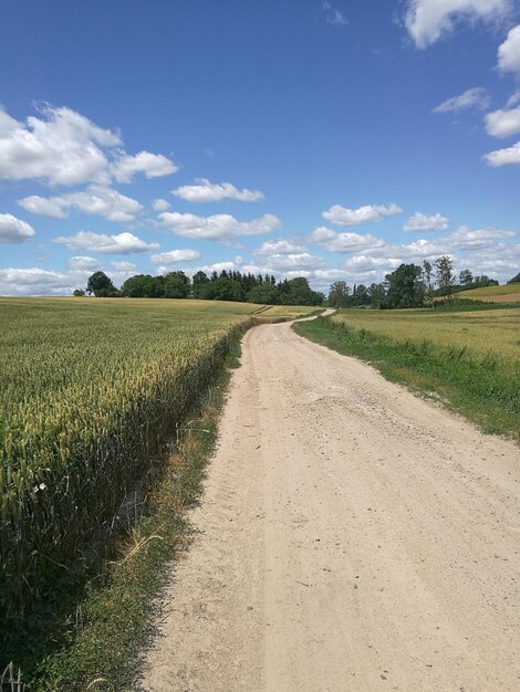 Vista panorámica de un campo agrícola contra el cielo