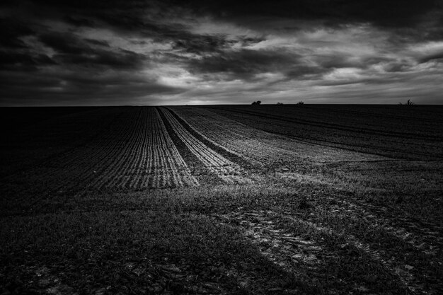 Vista panorámica de un campo agrícola contra el cielo