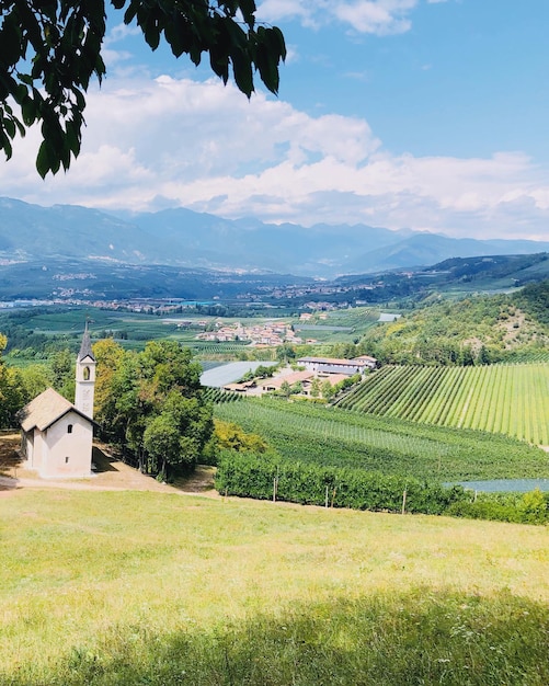 Vista panorámica de un campo agrícola contra el cielo