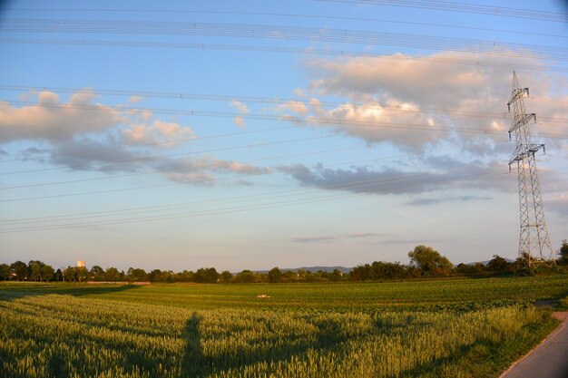 Foto vista panorámica de un campo agrícola contra el cielo