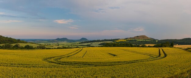 Vista panorámica de un campo agrícola contra el cielo