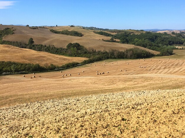 Vista panorámica de un campo agrícola contra el cielo