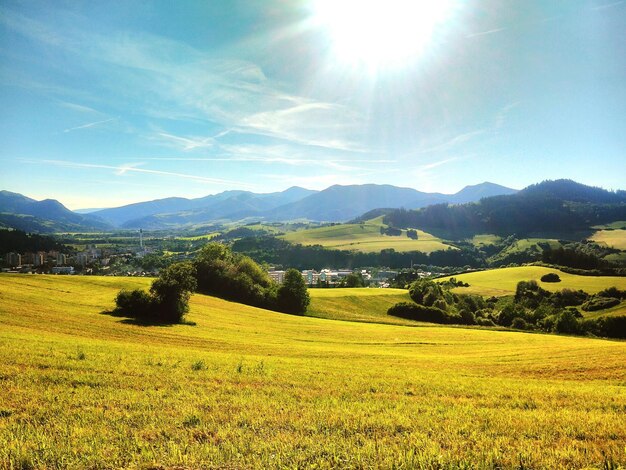 Foto vista panorámica de un campo agrícola contra el cielo