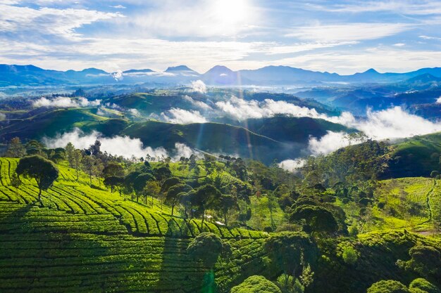 Vista panorámica de un campo agrícola contra el cielo