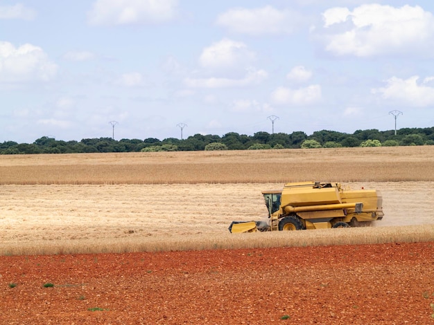 Foto vista panorámica de un campo agrícola contra el cielo