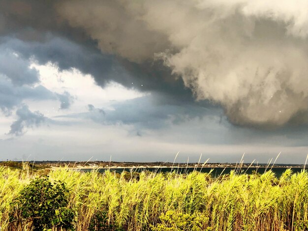 Vista panorámica de un campo agrícola contra el cielo