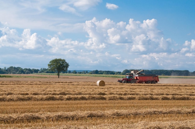 Foto vista panorámica de un campo agrícola contra el cielo