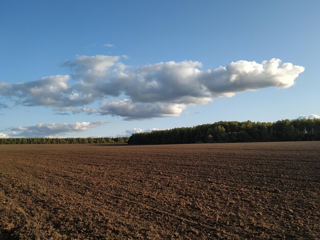 Foto vista panorámica de un campo agrícola contra el cielo