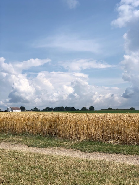 Foto vista panorámica de un campo agrícola contra el cielo