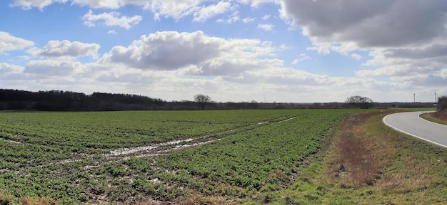 Foto vista panorámica de un campo agrícola contra el cielo