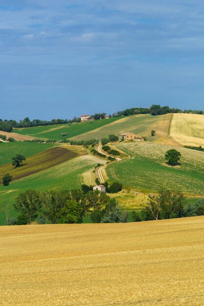 Vista panorámica de un campo agrícola contra el cielo