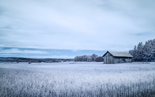 Foto vista panorámica de un campo agrícola contra el cielo