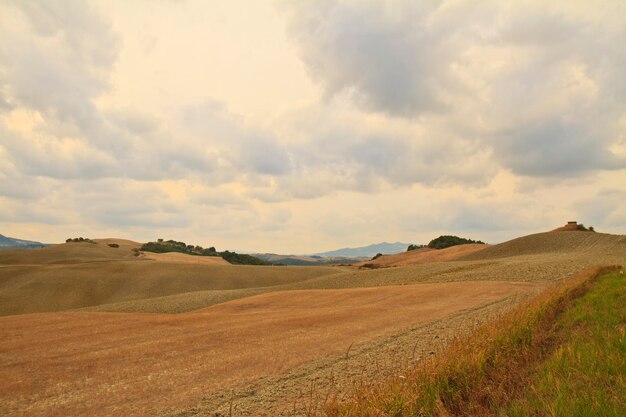 Foto vista panorámica de un campo agrícola contra el cielo