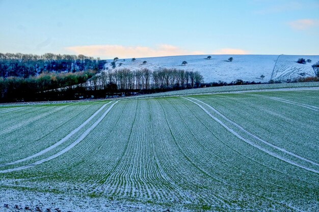 Foto vista panorámica de un campo agrícola contra el cielo