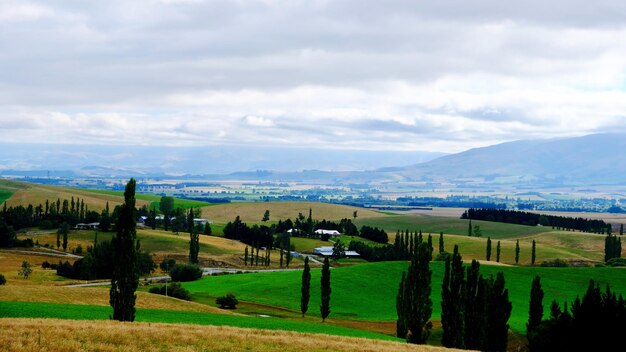 Vista panorámica de un campo agrícola contra el cielo