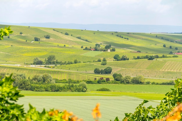 Foto vista panorámica de un campo agrícola contra el cielo