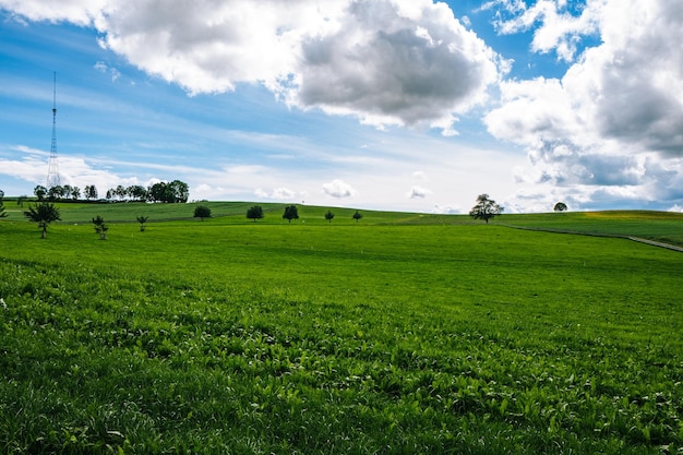 Foto vista panorámica de un campo agrícola contra el cielo